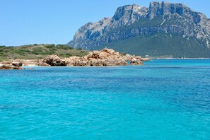 1 Schlafzimmer, Bettwäsche