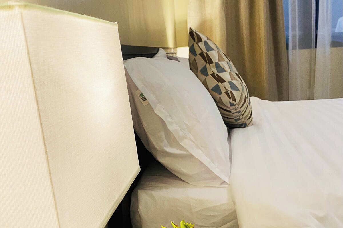 Habitación estándar | Wifi gratis y ropa de cama