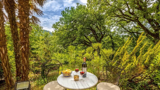 An outdoor dining area with a table and chairs, surrounded by lush greenery and trees.