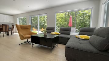 TV connectée, cheminée, livres