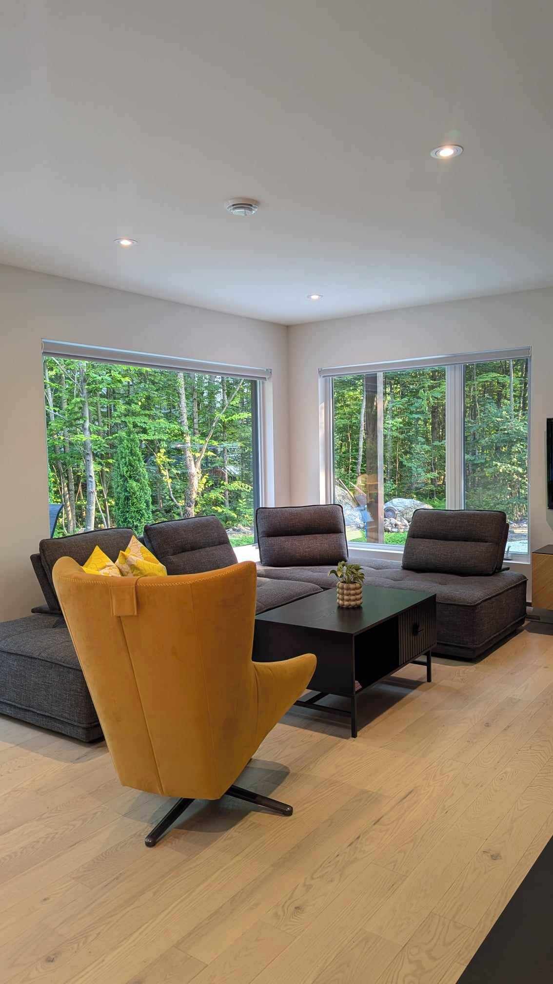 TV connectée, cheminée, livres