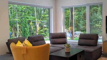 TV connectée, cheminée, livres