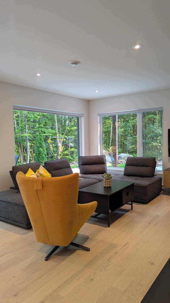 Smart TV, fireplace, books