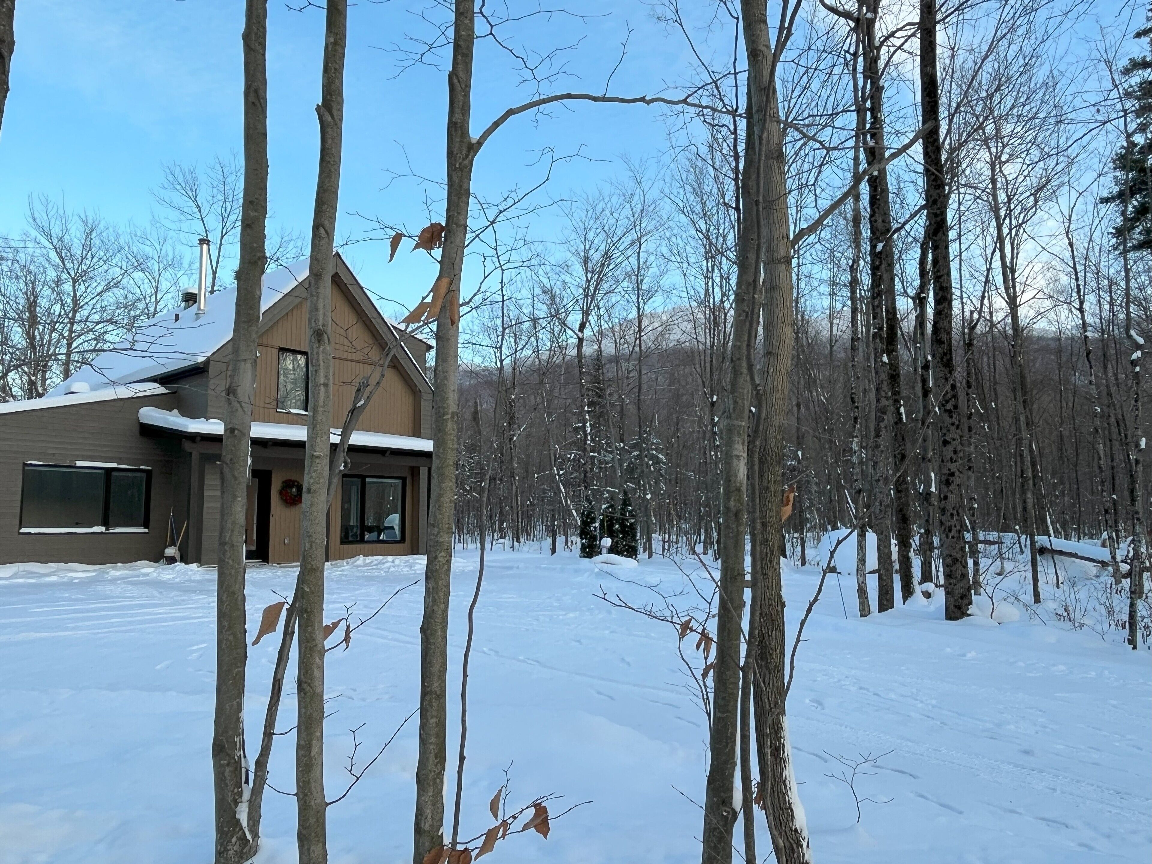 A modern two-story house with a garage, surrounded by a snowy forest.