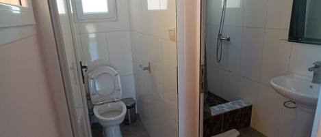 Un baño con inodoro, ducha y lavabo.