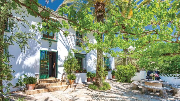 Un edificio blanco con puerta y ventanas verdes, rodeado de plantas en macetas y una zona con bancos de piedra.
