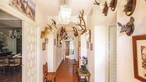 Un pasillo decorado con adornos de asta, un candelabro y cuadros en las paredes.