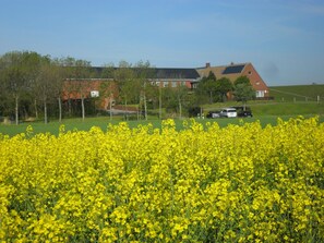 Property grounds - Apartment 'Ferienwohnung Wattenmeer 3' with Shared Garden and Wi-Fi (Pellworm)