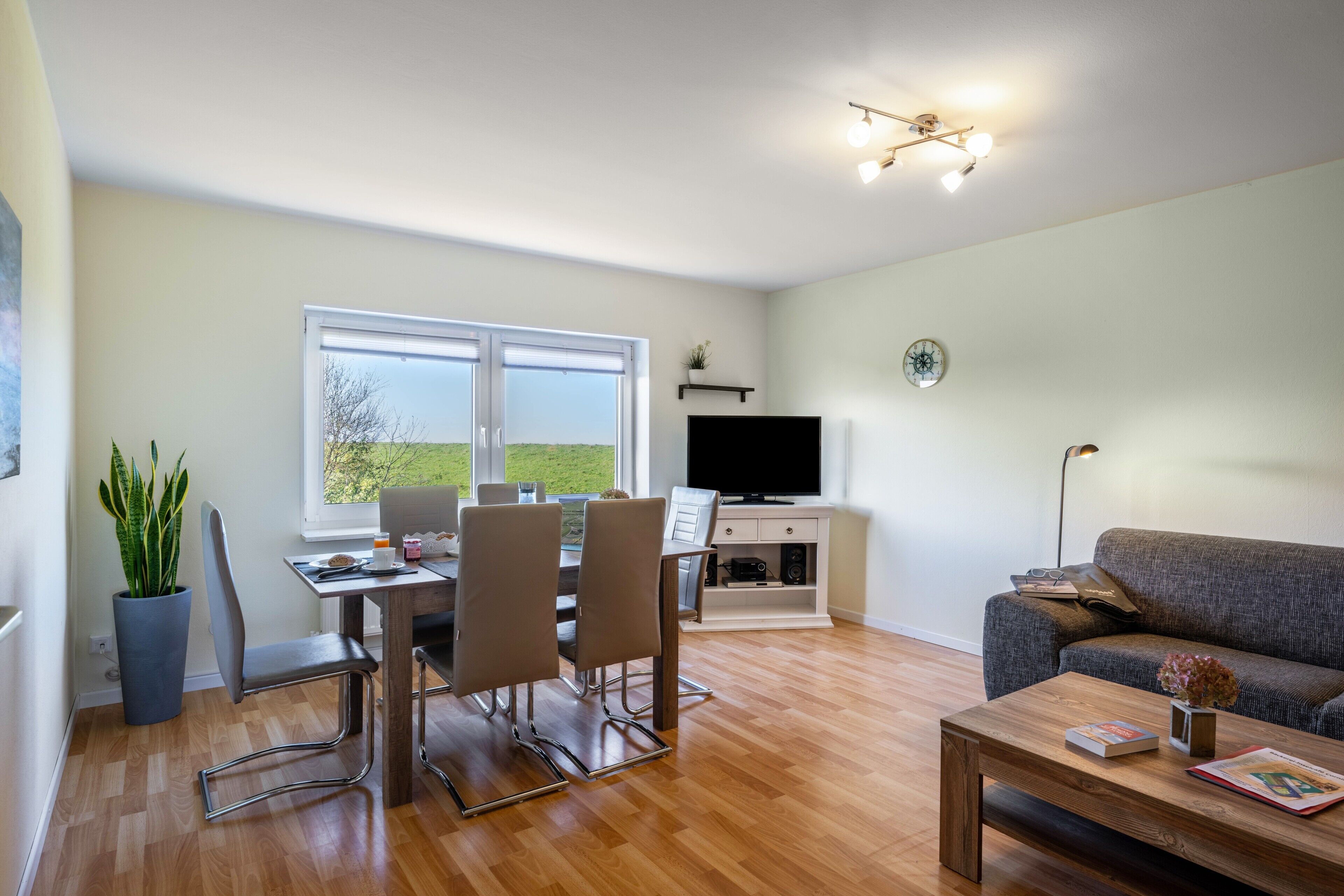 TV, lettore DVD, tavolo da ping pong