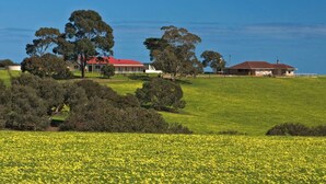 A rural landscape with a field of yellow flowers, a red-roofed building, and a house with a brown roof. - Gum Valley Quarters: perfect for large groups and families (Western River)