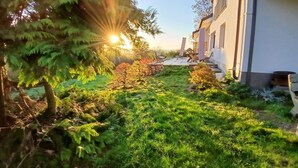Een tuin met gazon, bomen en een gebouw met veranda.
