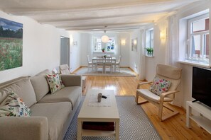 TV, fireplace, video games, stereo - Apartment 'Omi Anni' with a view of the market square, Private Terrace and Wi-Fi (Schlitz)