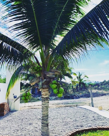 Property grounds. Cozy 2-bedroom apartment with AC, WiFi in charming Perula