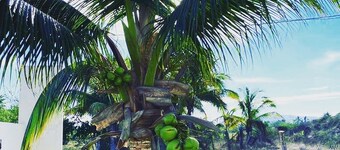 Cozy 2-bedroom apartment with AC, WiFi in charming Perula 