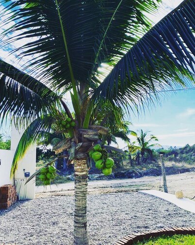 Cozy 2-bedroom apartment with AC, WiFi in charming Perula 