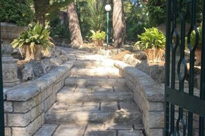 Property grounds - Villa Raffaela in Marina di Pulsano location lido Silvana pine forest forest Caggione (Monti D'arena-bosco Caggione)