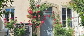Une façade d’immeuble avec une fenêtre, une porte et un mur recouvert de plantes grimpantes.