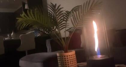 1 bed one bath apartment