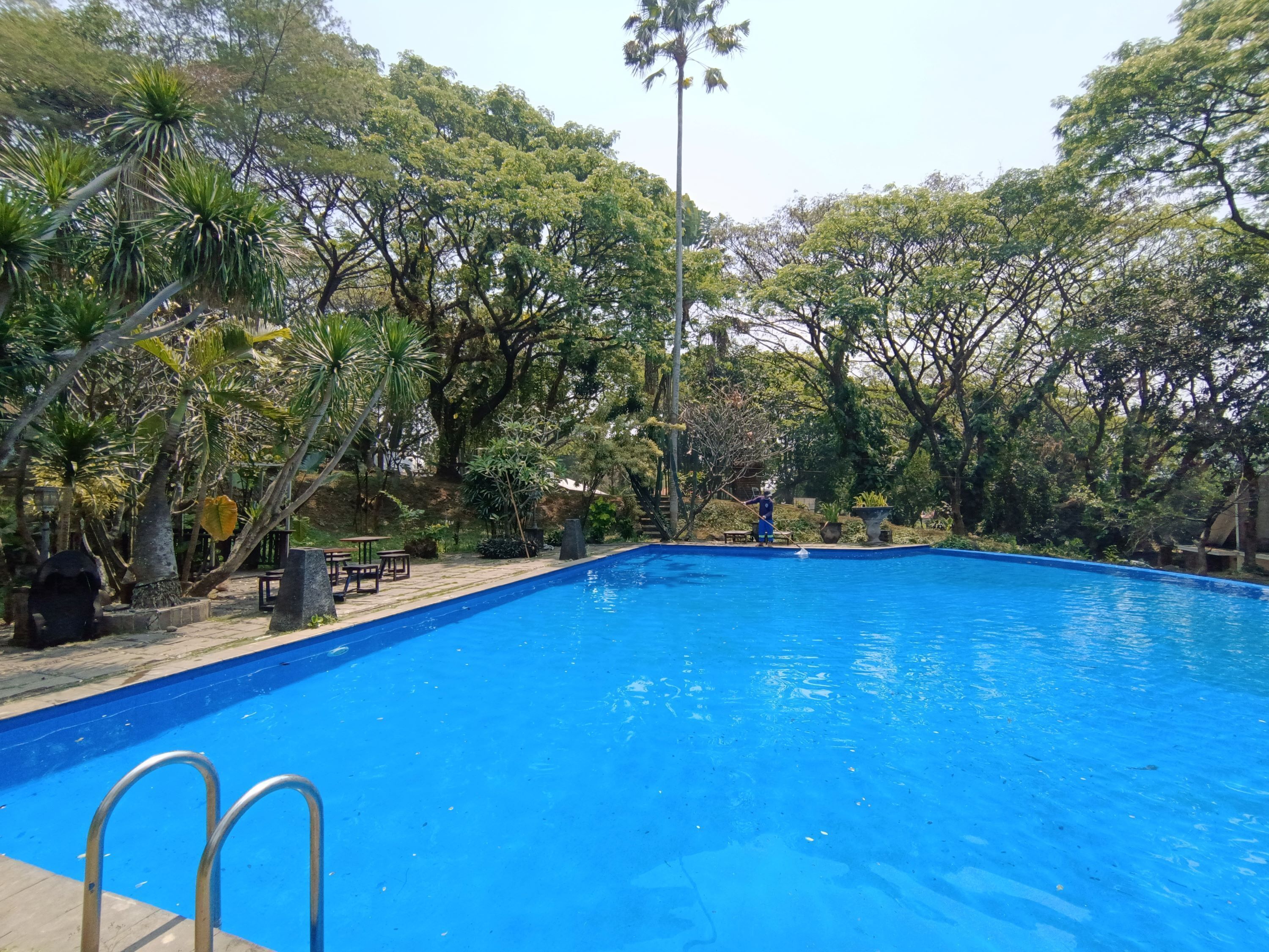 A swimming pool surrounded by trees and greenery.
