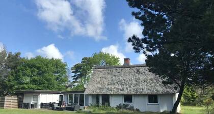 Lovely summer house on the island of Rømø