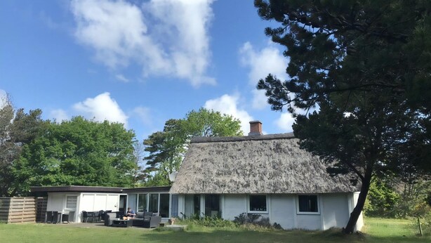 Udendørsområde