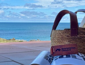 Beach/ocean view