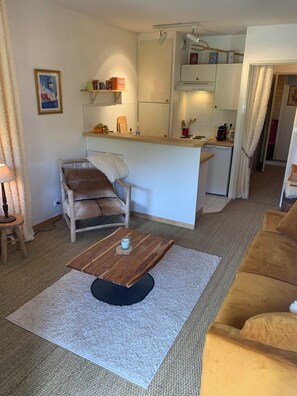 TV - ISOLA 2000 4/6-person apartment in chalet with large terrace (Isola 2000)