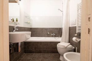 Shower, hair dryer, bidet, towels