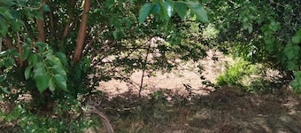 Casa de Campo en Aldea de Yeste Albacete