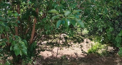 Casa de Campo en Aldea de Yeste Albacete