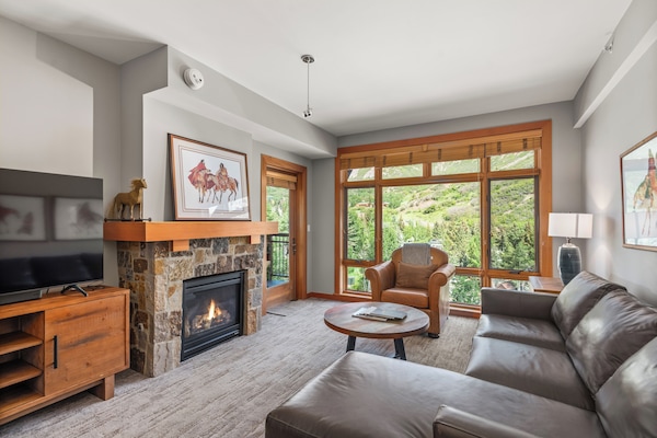 Smart TV, fireplace, DVD player