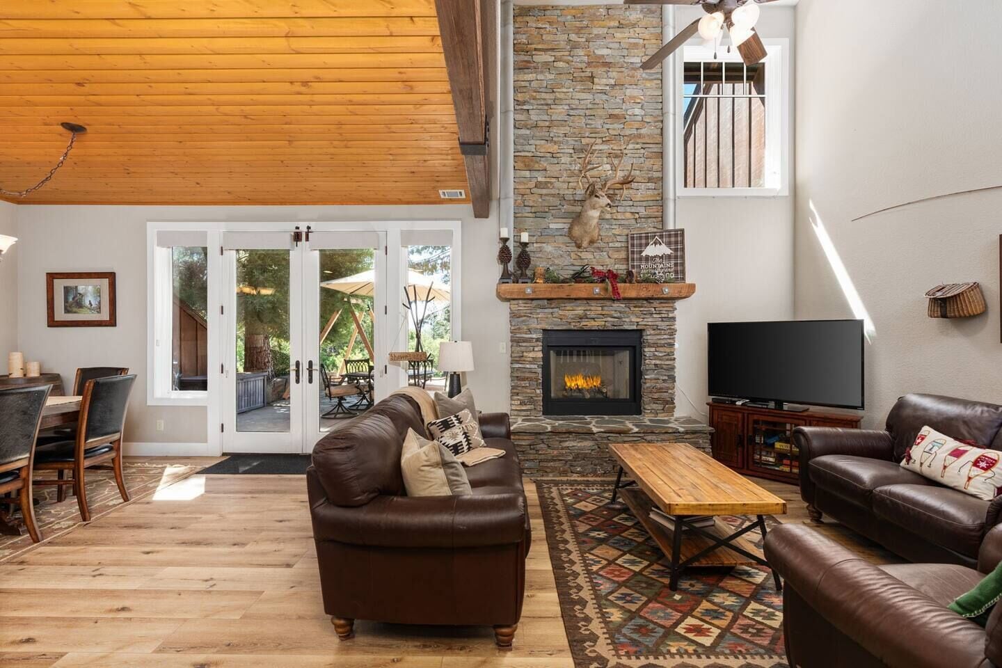 TV connectée, cheminée, lecteur de DVD