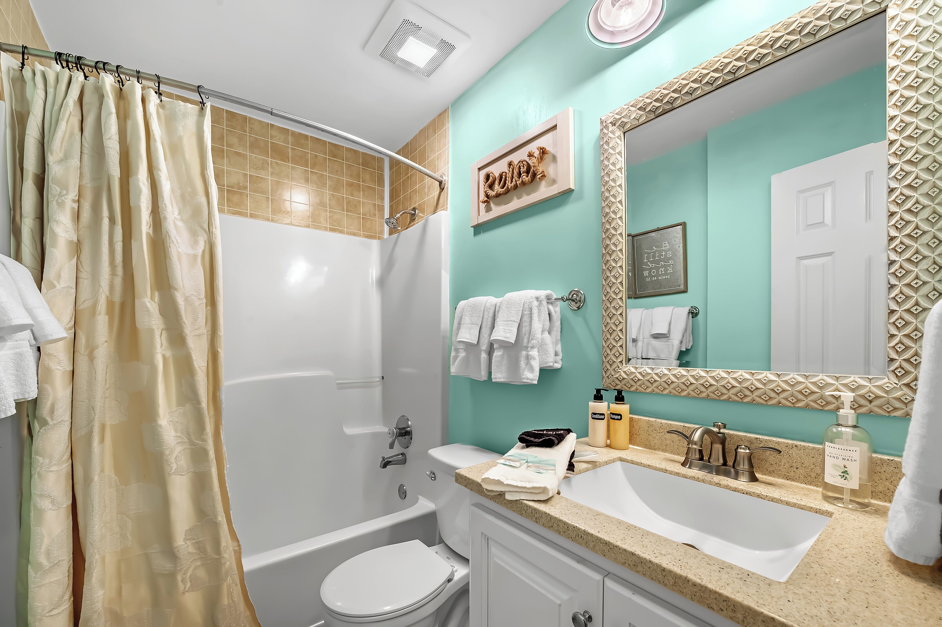 Guest Bath - Tub/Shower Combo
