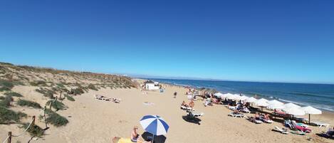 بالقرب من الشاطئ