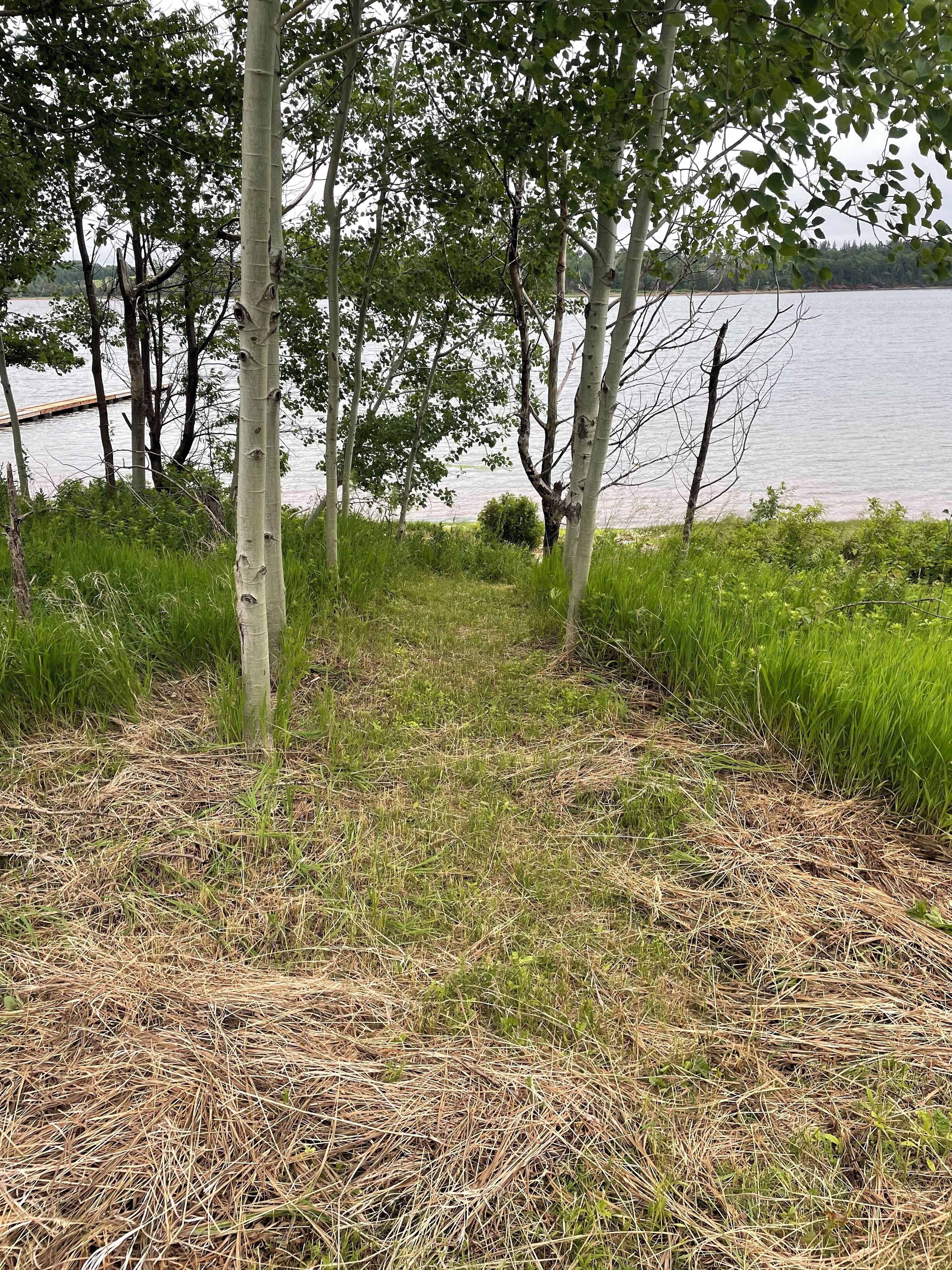 Un paysage naturel comprenant une zone herbeuse, des arbres et une étendue d’eau.