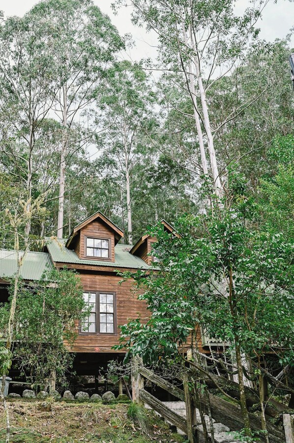 Exterior - Treetops - Your Rainforest Retreat

Surround yourself with nature.  (Salisbury)