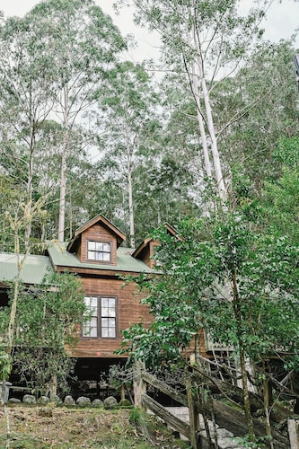 Treetops - Your Rainforest Retreat

Surround yourself with nature. 