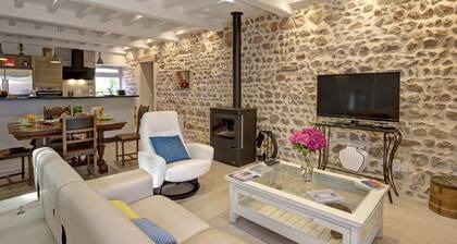 Gßte de charme avec SPA, terrasse, cheminée et cour, idéal pour un séjour zen à Notre-Dame-de-Boisset
