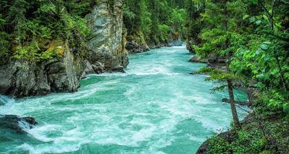 Enchanting 1-bedroom house in Wilson