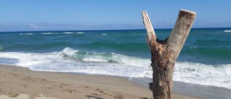 Una spiaggia nelle vicinanze
