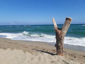 Tæt på stranden