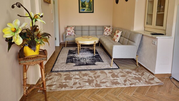 Apartment, 1 Bedroom, Smoking, Balcony | Living room - Apartment in Durres Volga (Durrës)