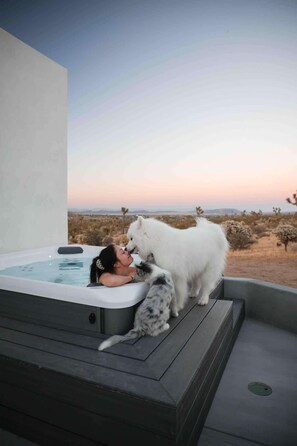 Baignoire à remous extérieure