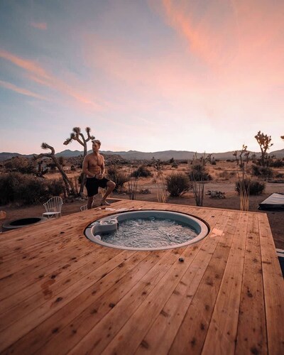 The Modern Wolfden By The Cohost Company