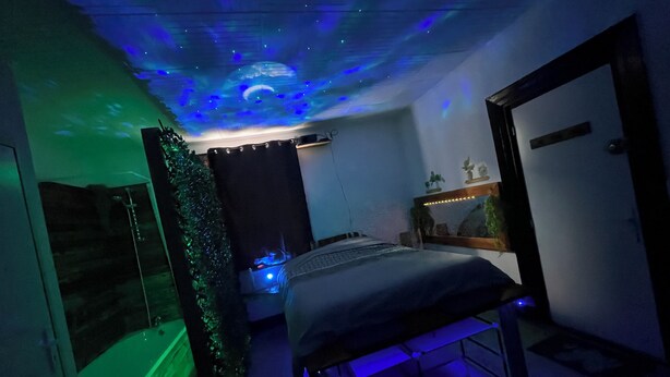 Una habitación con una cama, un espejo y una estantería con plantas.