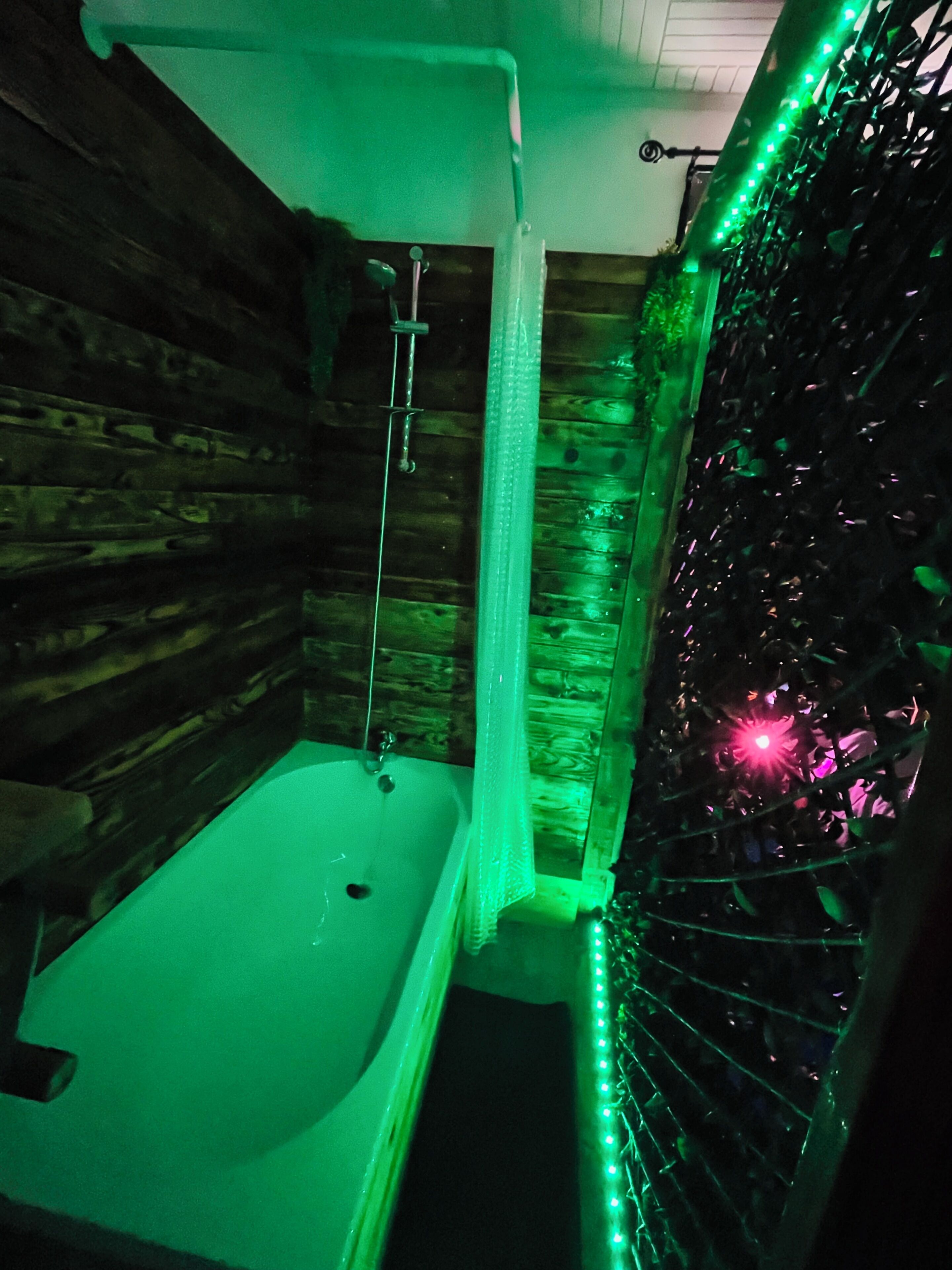 タオル、トイレットペーパー