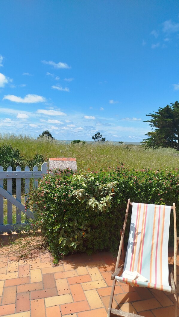 Property grounds - Large family home, sea view, nestled in the dune on the island of Noirmoutier. (Barbâtre)