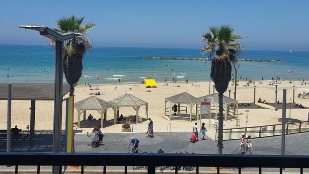 Een strand met palmbomen, een zandstrand en een helderblauwe lucht.