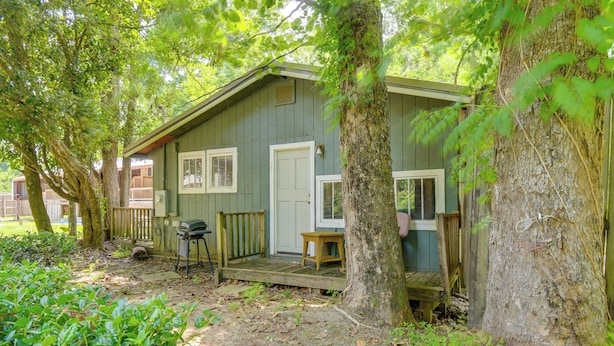 A rustic cabin with a porch, surrounded by trees and greenery. - Hike, Fish, Kayak: Fairhope 'river Cottage' (Fairhope)
