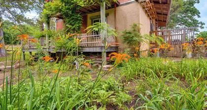 4 Mi to Historic District: Calico Rock Cabin!